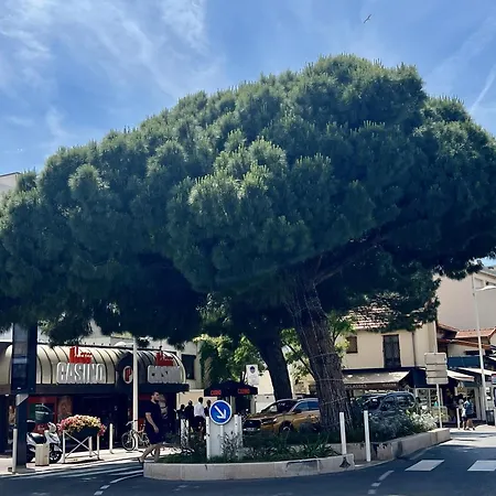 Juan 4 Prs, Clim, 300m Plage, Piscine, Parking * Antibes