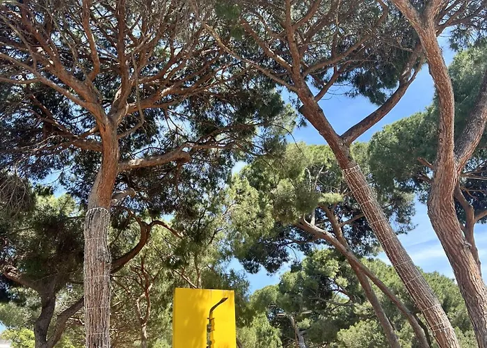 Juan 4 Prs, Clim, 300m Plage, Piscine, Parking Apartment